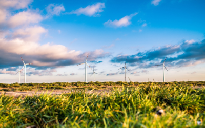 SO WHAT’S ALL THIS ABOUT “GREEN BONDS”?
