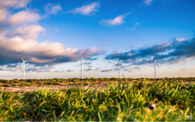 SO WHAT’S ALL THIS ABOUT “GREEN BONDS”?